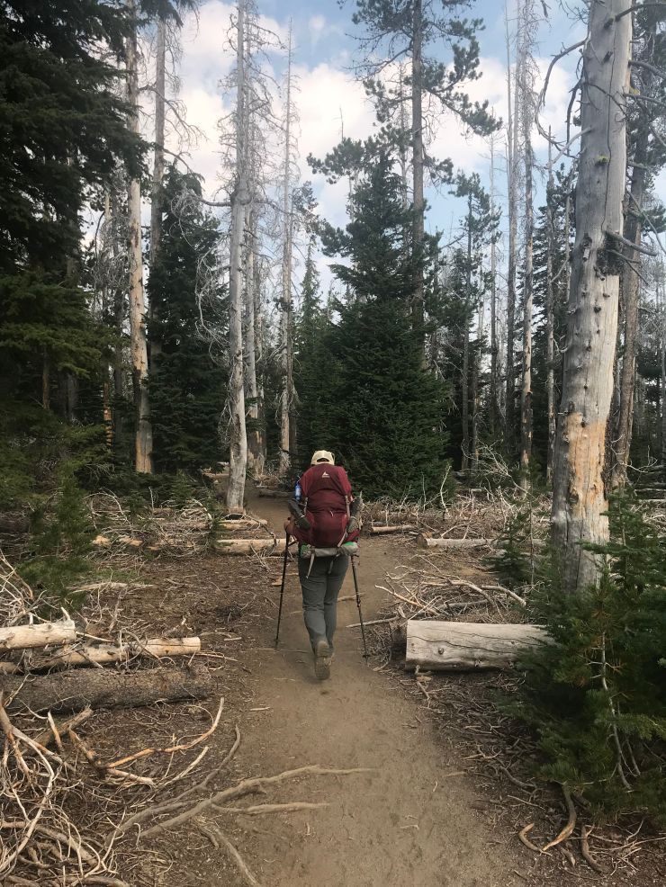 three-sisters-wilderness-broken-top-park-meadow-tie-trail-1