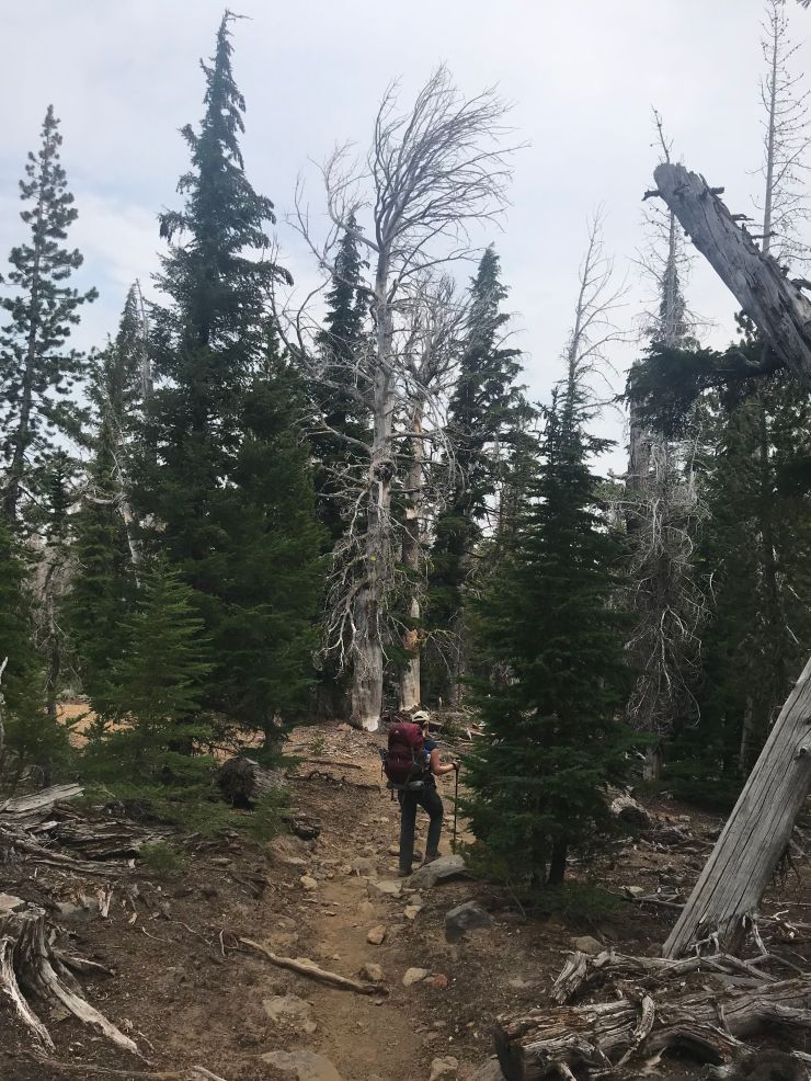 three-sisters-wilderness-broken-top-park-meadow-tie-trail-2