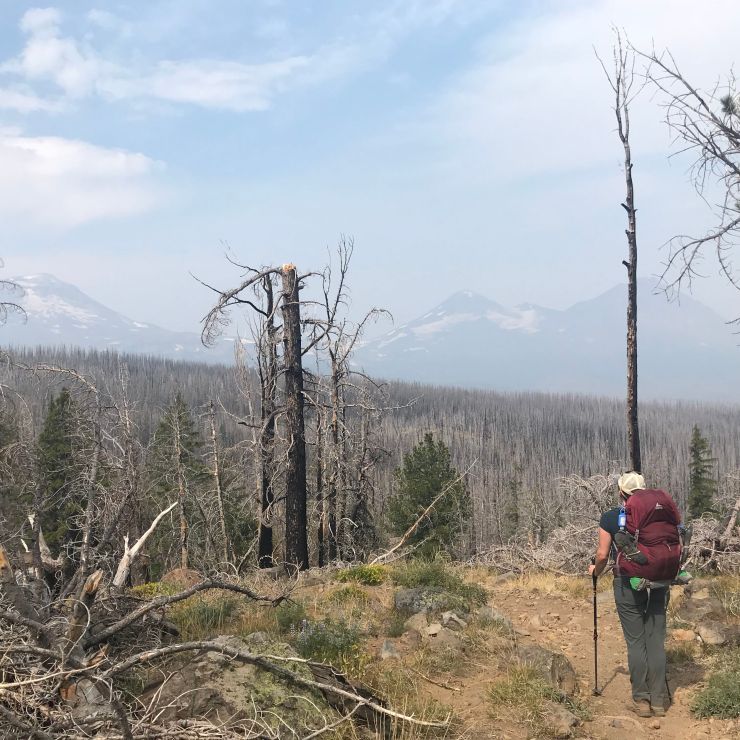 three-sisters-wilderness-broken-top-park-meadow-tie-trail-forest-fire-mountains