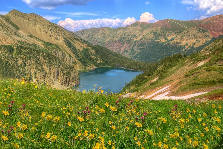 wildflowers_over_snowmass_lake
