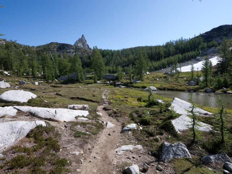 Prusike Peak in the distance as viewed from the gorgeous meadow