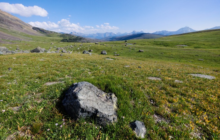 glacier-backpacking-north-circle-waterton-valley-trail-8-boulders-and-flowers