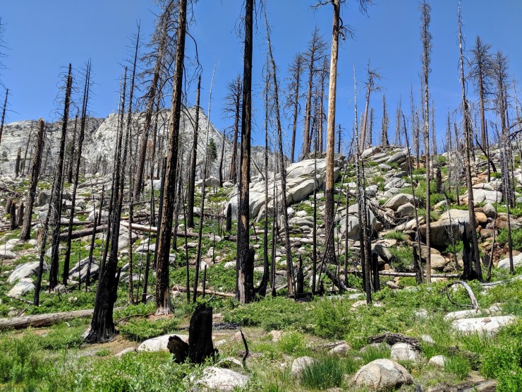 yosemite-backpacking-john-muir-trail-burned-view