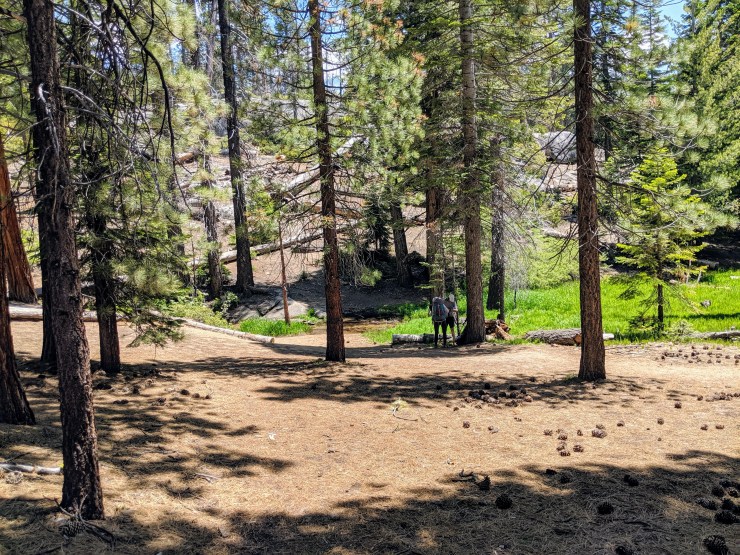 yosemite-backpacking-john-muir-trail-sunrise-creek-junction