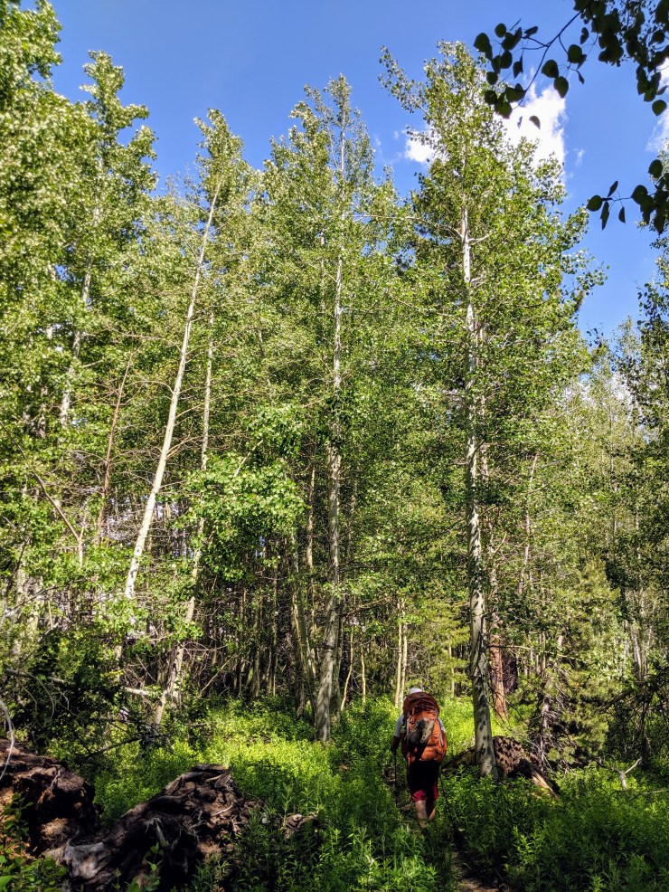 yosemite-backpacking-merced-high-trail-between-lakes
