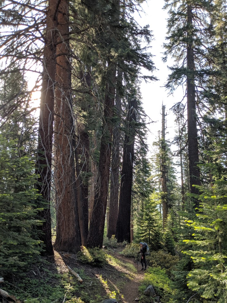 yosemite-backpacking-merced-high-trail-descent