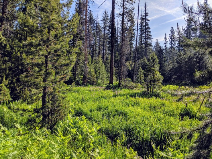 yosemite-backpacking-merced-high-trail-echo-valley
