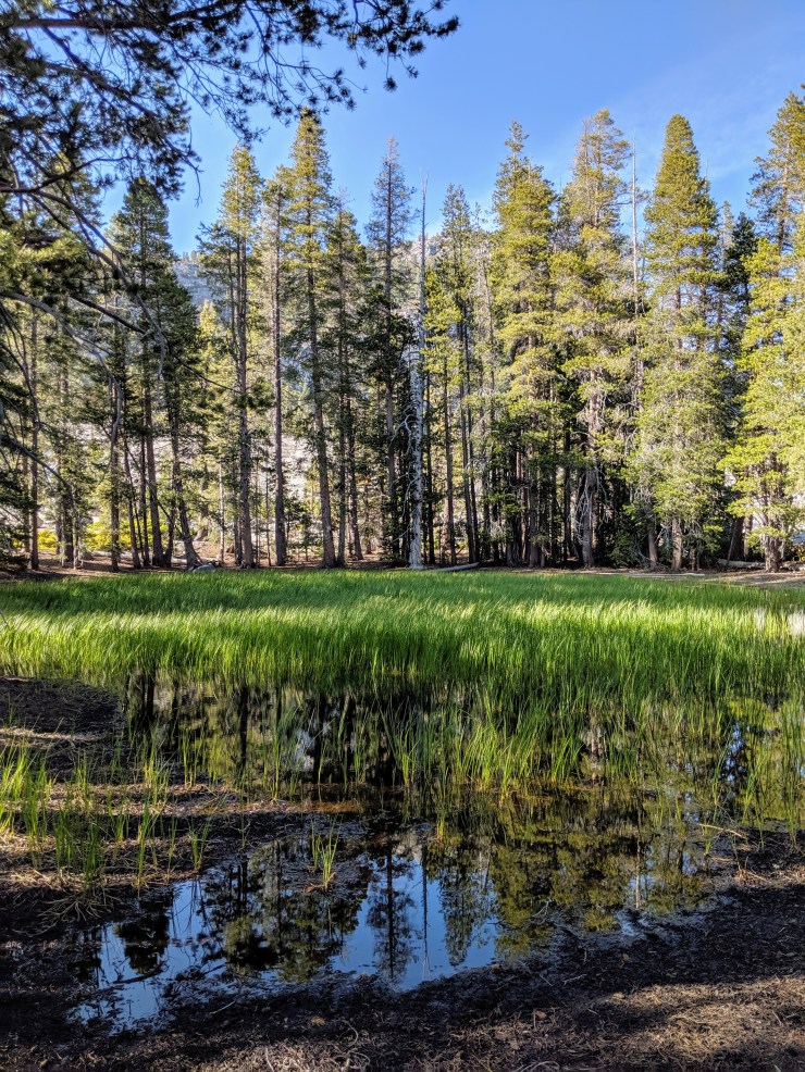 yosemite-backpacking-merced-high-trail-second-lake