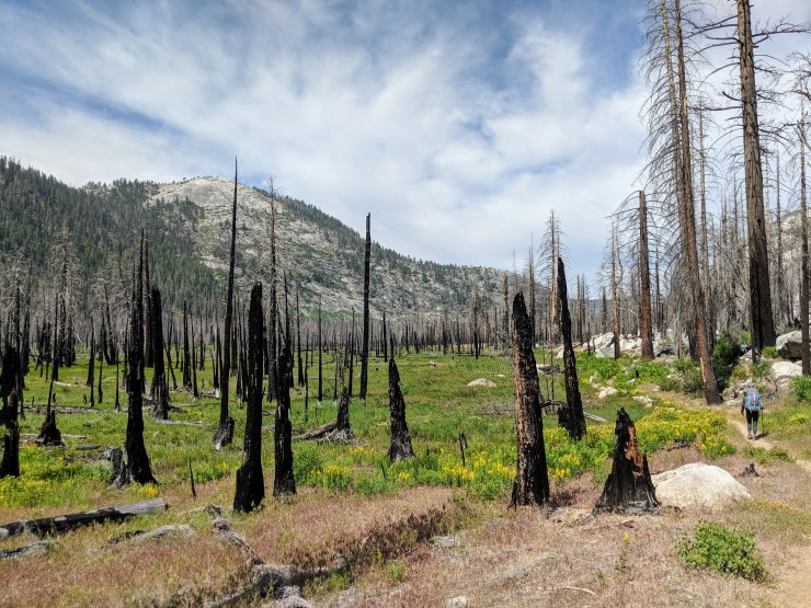 yosemite-backpacking-merced-lake-trail-little-yosemite-valley