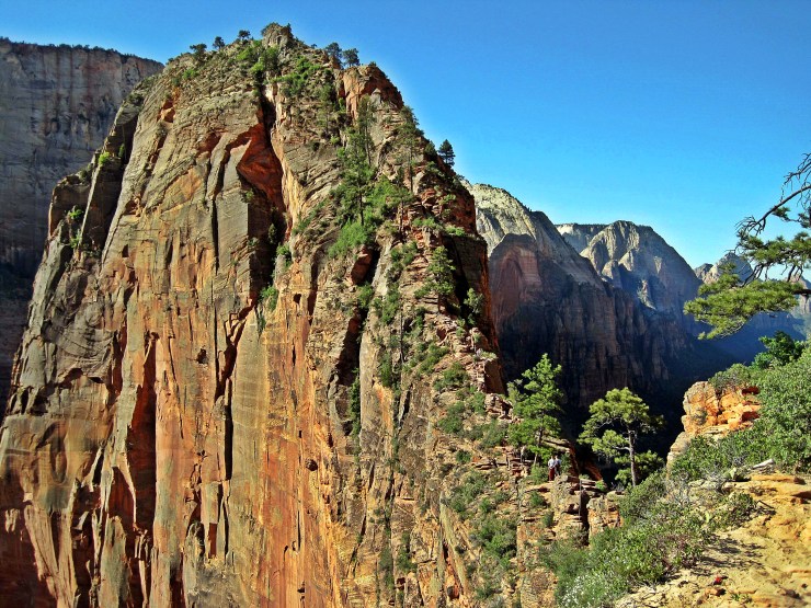 angels-landing-scout-lookout.jpg