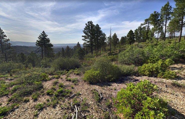 west-rim-trail-zion-w
