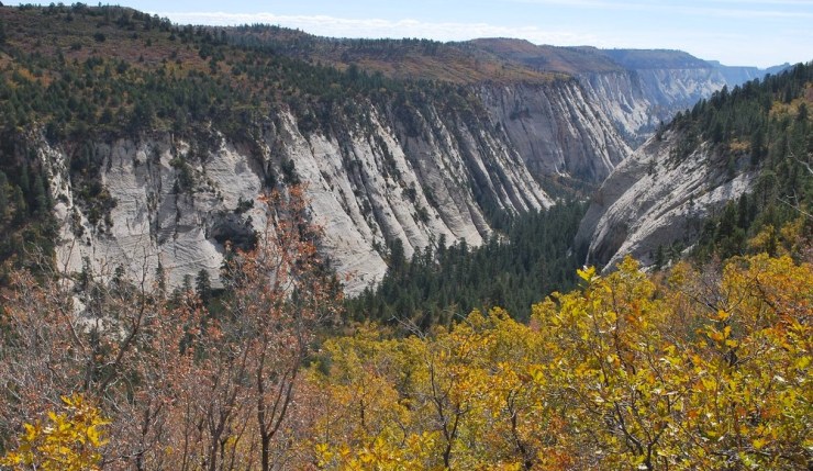 wildcat-canyon-from-trail