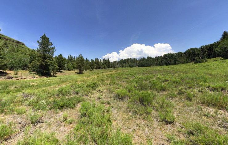 wildcat-canyon-trail-meadow