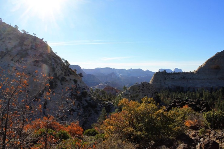 wildcat-canyon-view-near-lava-point