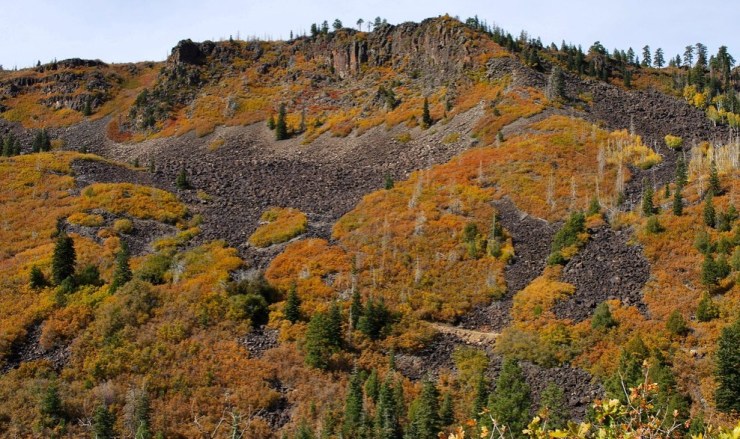 wildcat-canyon-view-near-lava-point-north