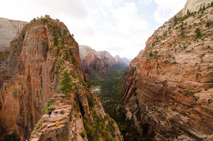 Trail up to Angel's Landing