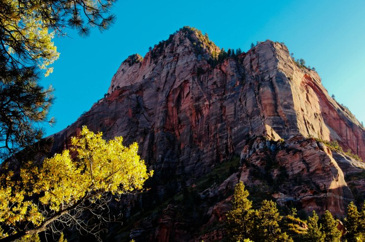 zion-traverse-backpacking-la-verkin-creek-trail-14