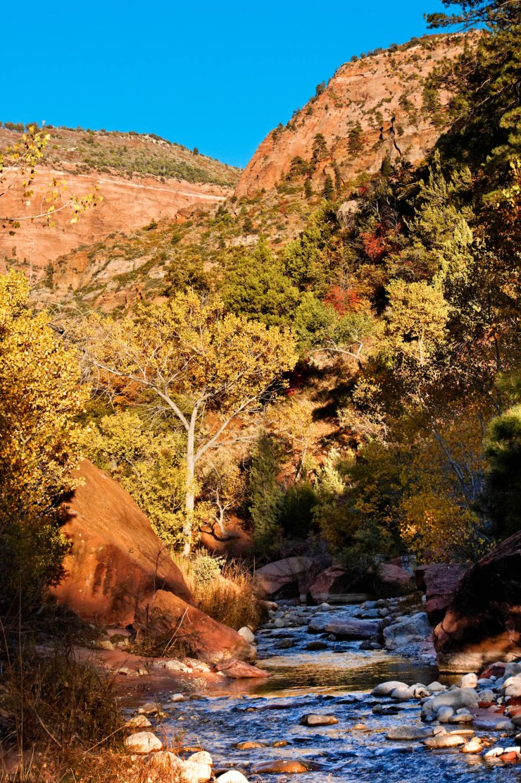zion-traverse-backpacking-la-verkin-creek-trail-16