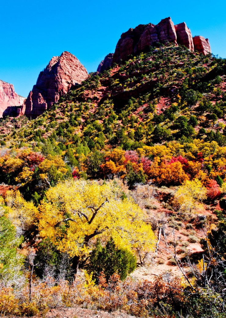 zion-traverse-backpacking-la-verkin-creek-trail-2
