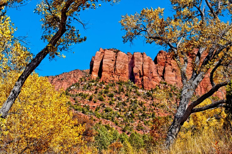 zion-traverse-backpacking-la-verkin-creek-trail-4