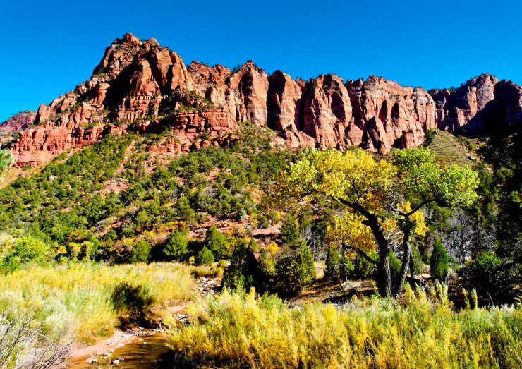 zion-traverse-backpacking-la-verkin-creek-trail-7