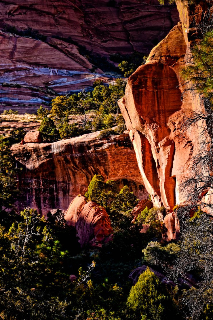 zion-traverse-backpacking-la-verkin-creek-trail-9