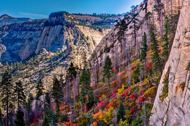 zion-traverse-backpacking-west-rim-trail-21