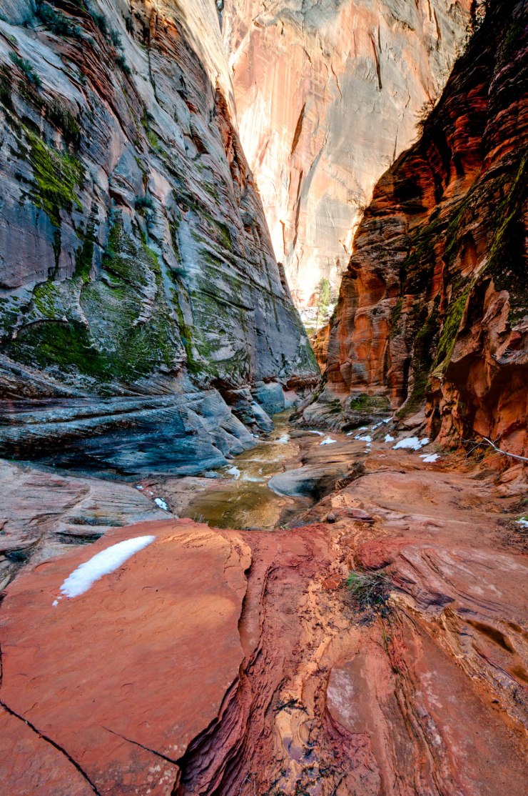On the trail up Echo Canyon in Zion National Park, Utah