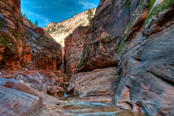 On the trail up Echo Canyon in Zion National Park, Utah