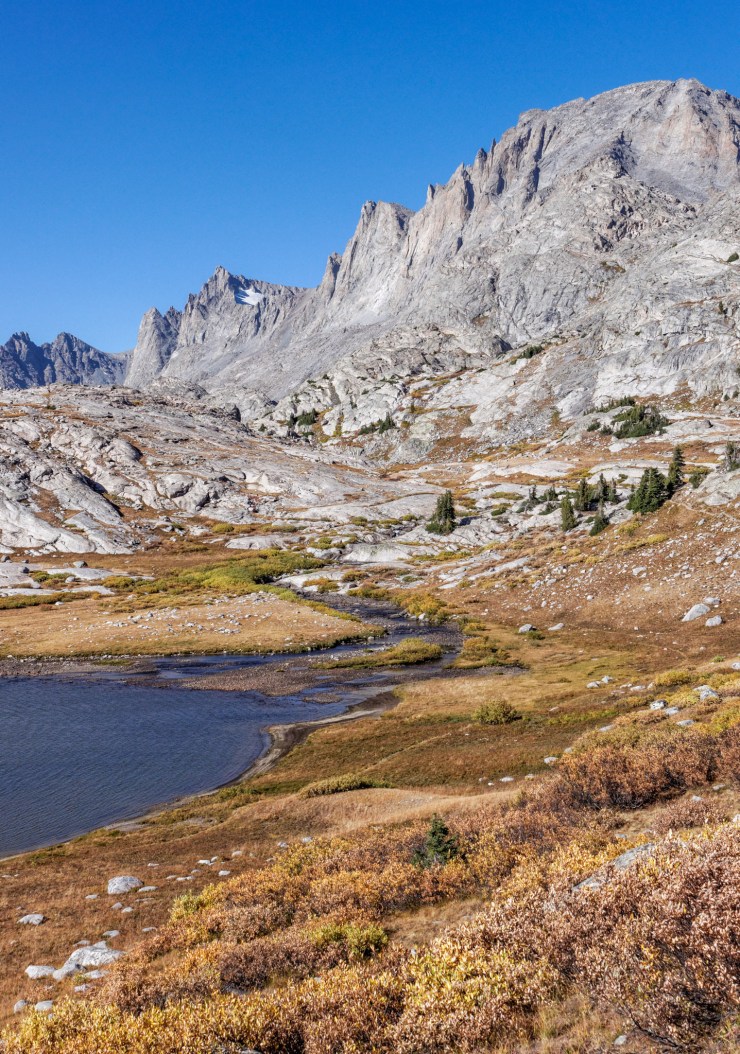 8387905415_845d94fe64_o