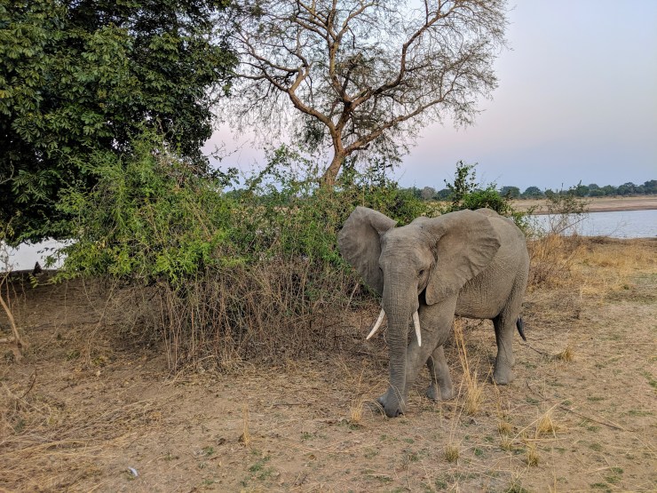 MVIMG_20190821_173941