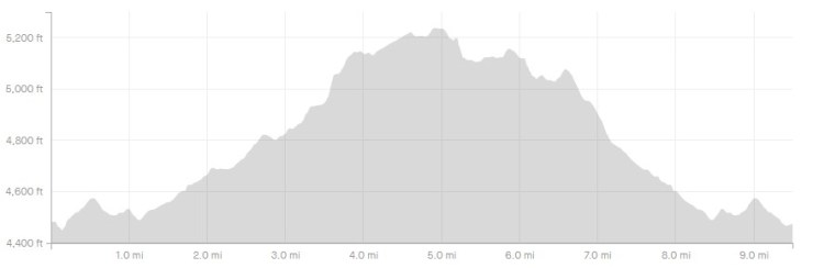 sedona-hangover-elevation