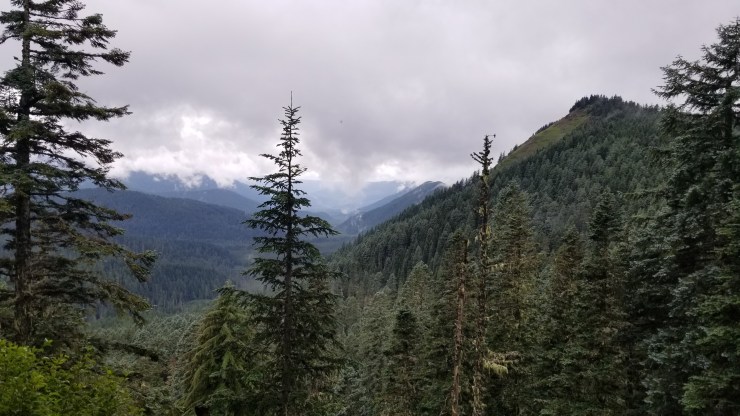 bald-mountain_48564748661_o