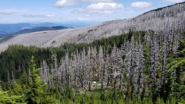 cairn-basin-and-the-dollar-lake-fire-burn-2011_48564738271_o