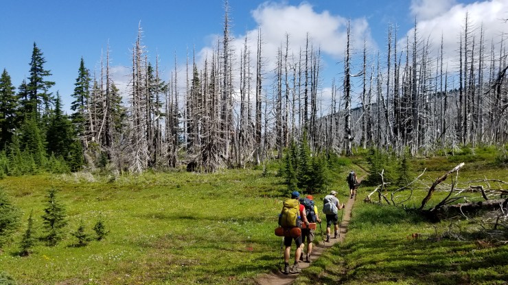 cairn-basin--the-dollar-lake-fire-burn_48564884652_o