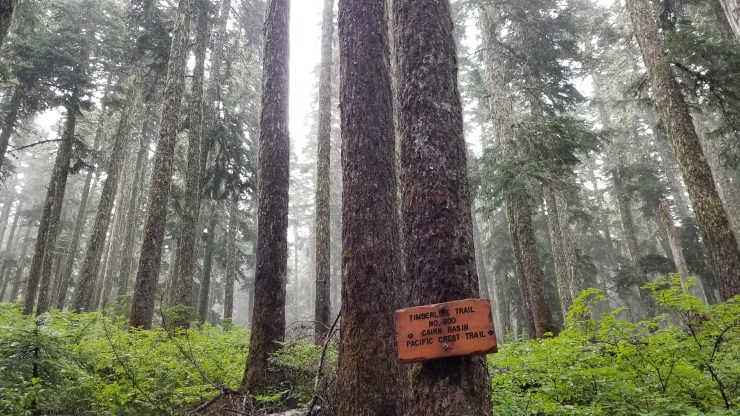 cairn-basin_48564748556_o