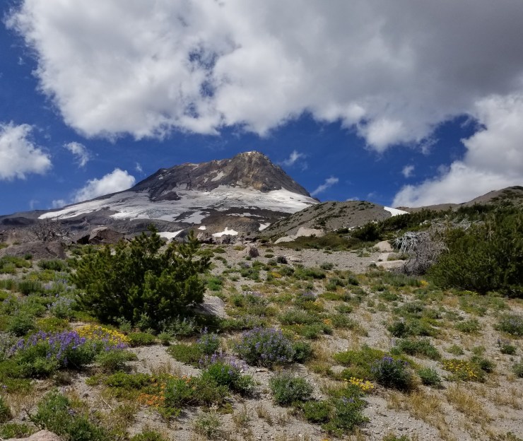 cloud-cap-to-gnarl-ridge-day-4_48564846192_o