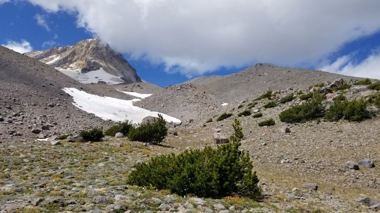 cloud-cap-to-gnarl-ridge-day-4_48564847257_o