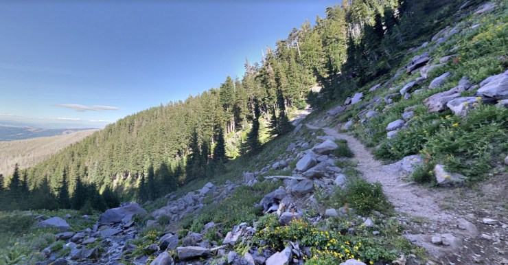 compass-creek-timberline