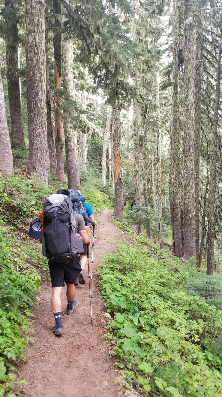 descending-zig-zag-canyon_48564901547_o