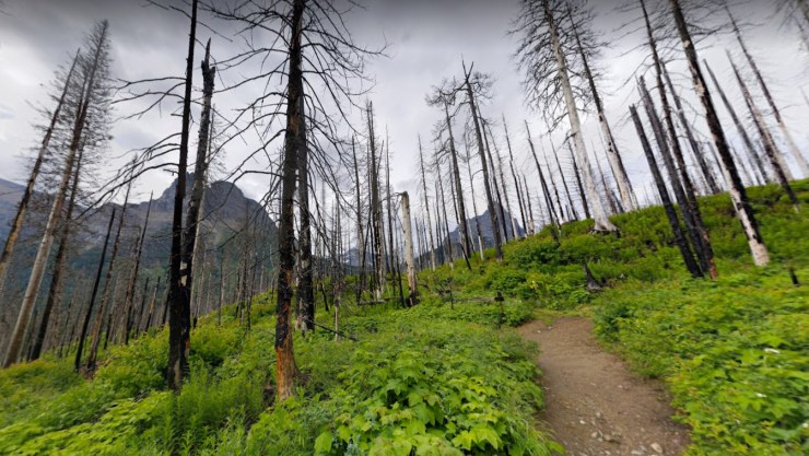 glacier-gunsight-piegan-pass-trail