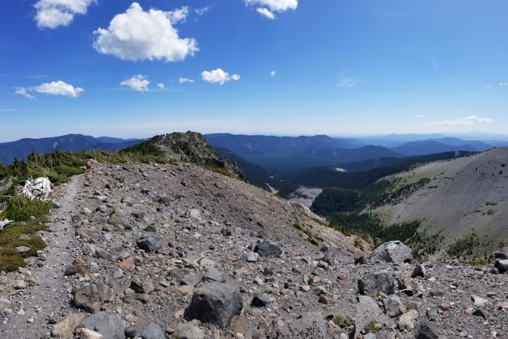 gnarl-ridge--newton-creek_48564838072_o