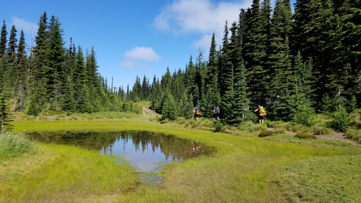 heading-out-of-mcgee-creek-camp_48564886747_o