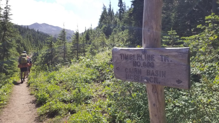 leaving-mcgee-creek-camp_48564739701_o