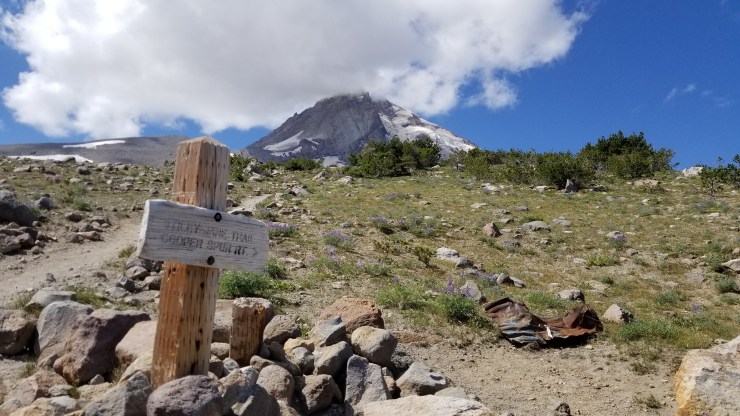 mile-264_48564849657_o