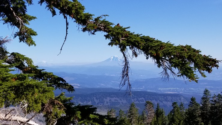 mount-adams--mount-rainier_48564851932_o