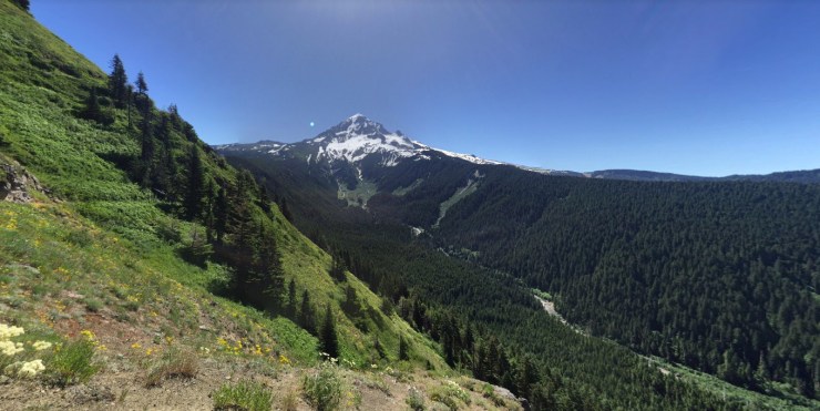 mt-hood-from-bald-mt