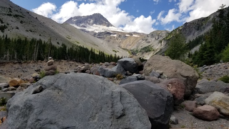 newton-creek_48564835767_o