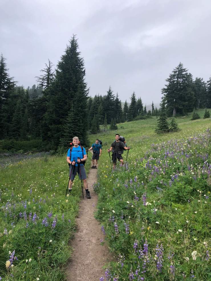 paradise-park_48562837121_o