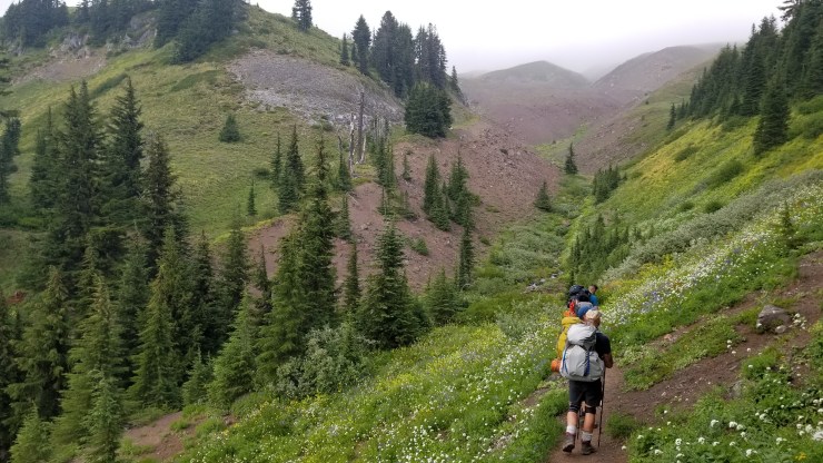 paradise-park_48564899642_o